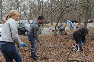 volunteers pulling out invasive plants