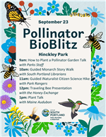 2023 Pollinator Bioblitz