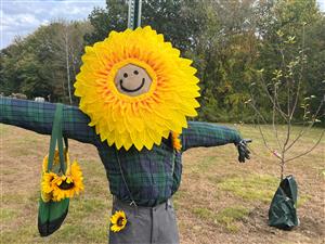 scarecrow patch
