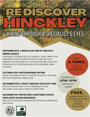 rediscover hinckley flyer