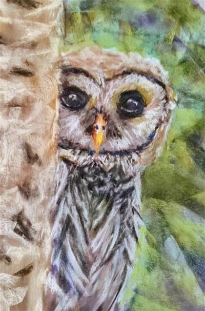 Beginner Pastel Owl